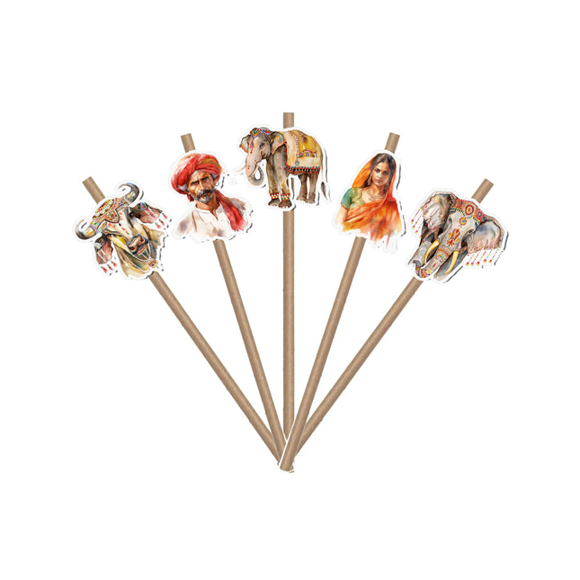 Indian Cultural-Themed Party Straws – Set of 10PCS Drink Decor