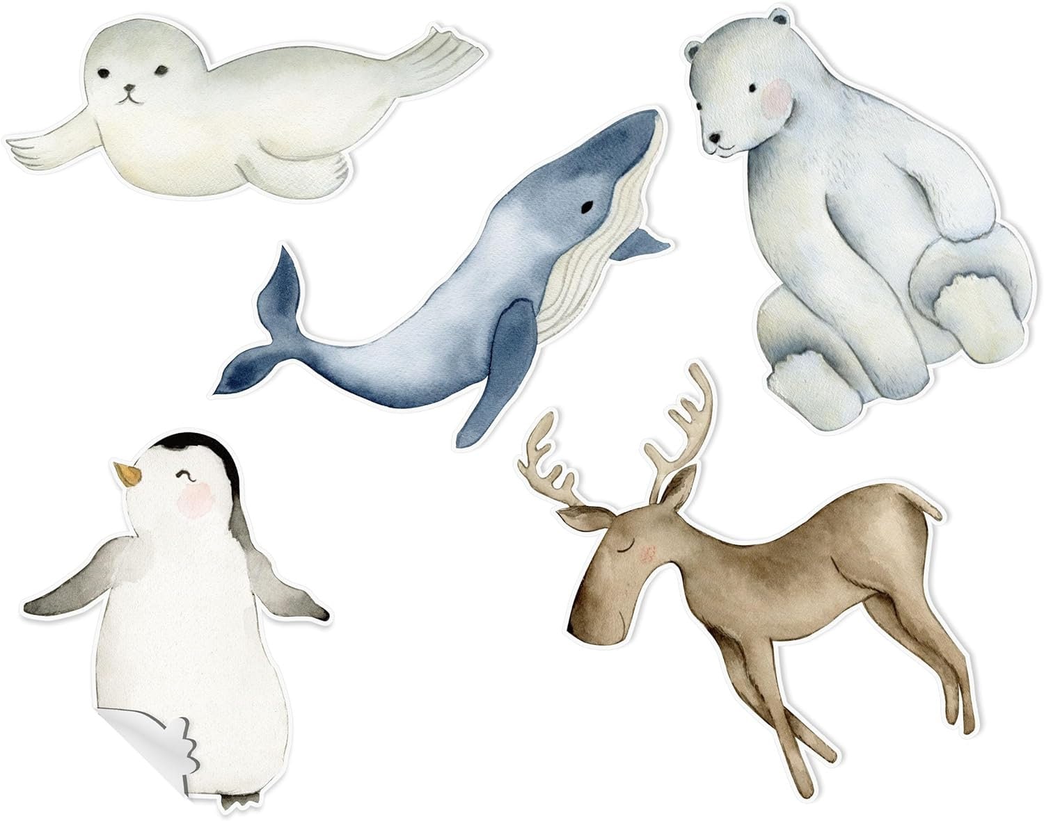 Arctic Wonders Wall Stickers