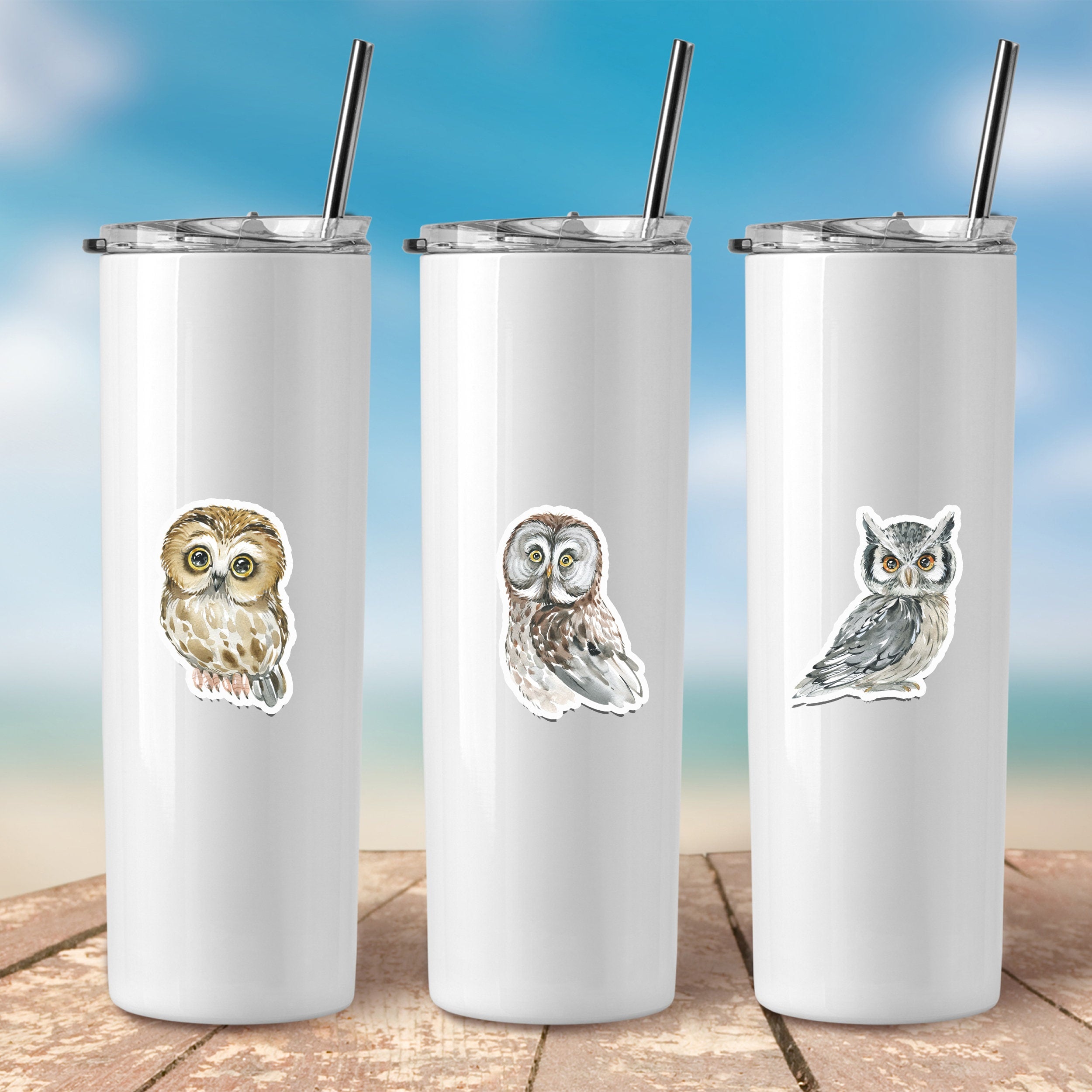 Wise and Whimsical Owl Stickers - Set of 25 Varied Owl Decals for Nature Lovers and Nighttime Mystique Enthusiasts