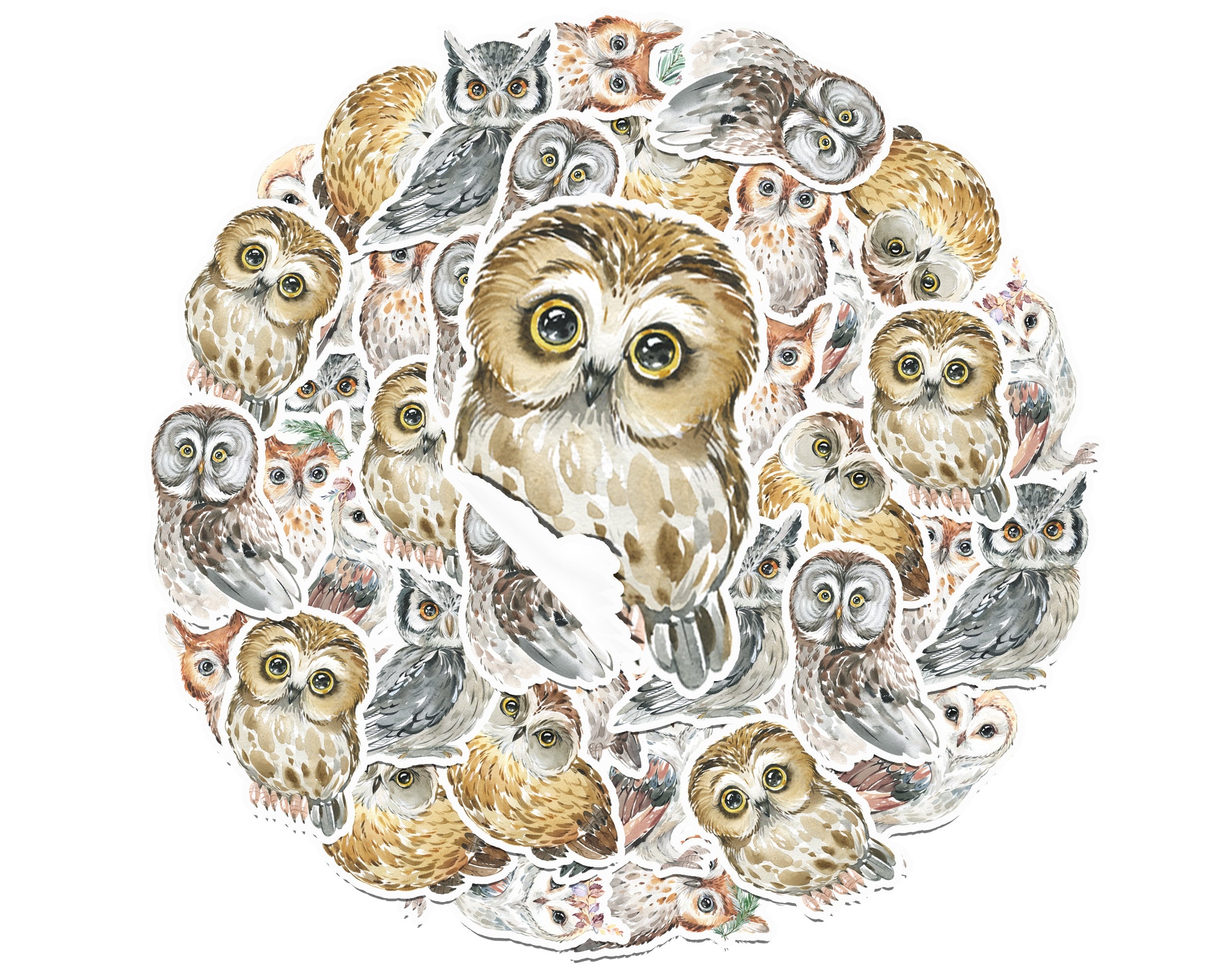Wise and Whimsical Owl Stickers