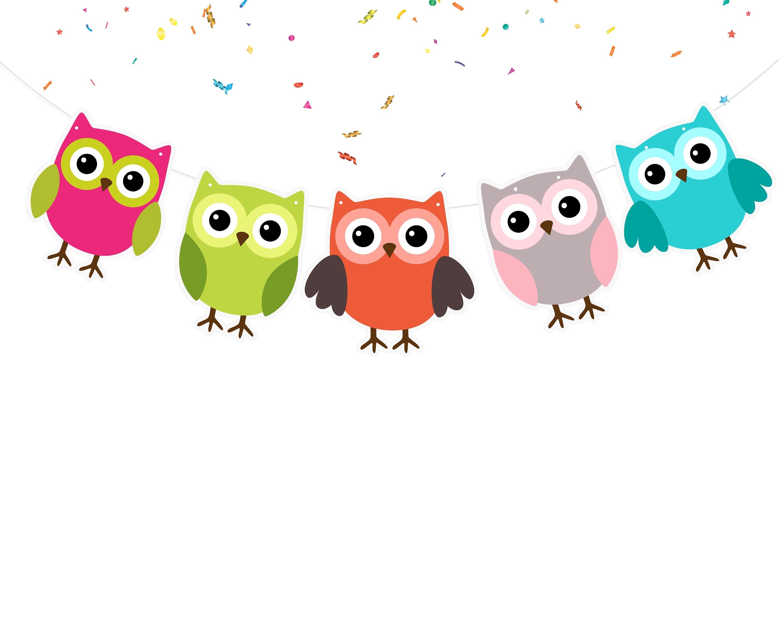 Hoot of Color - Vibrant Owl Cartoon Banner for Children's Room Decor