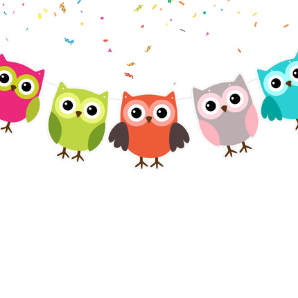 Hoot of Color - Vibrant Owl Cartoon Banner for Children's Room Decor